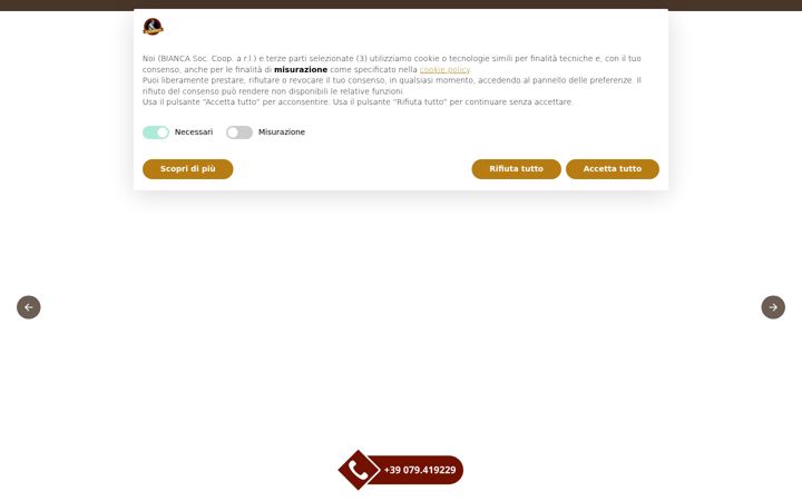Screenshot of ausentu.it