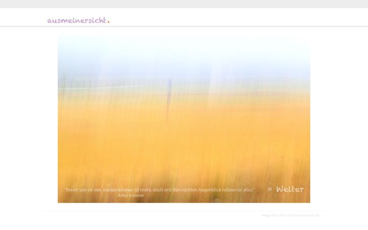 Screenshot of ausmeinersicht.de