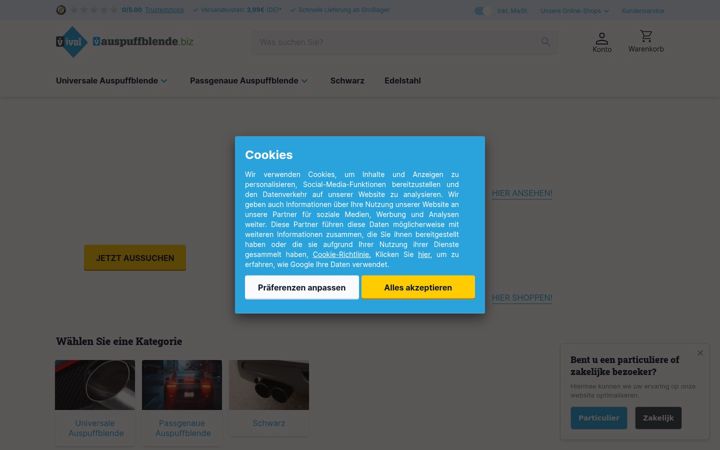 Screenshot of auspuffblende.biz