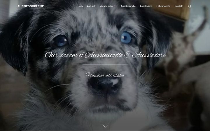 Ekrano kopija aussiedoodle.se
