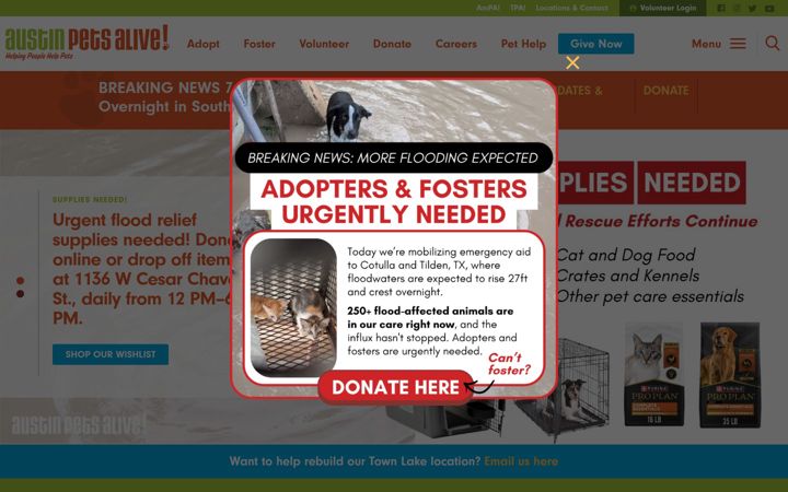 Screenshot of austinpetsalive.org