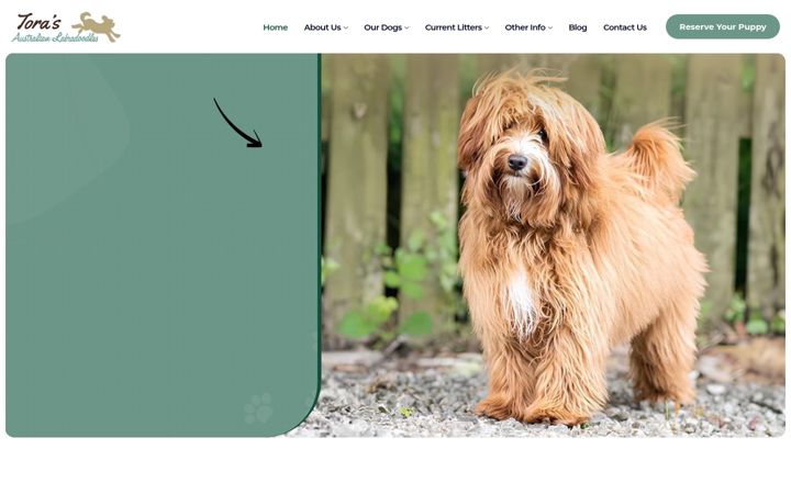 Screenshot of australian-labradoodles.co.uk