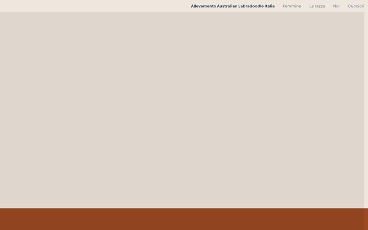 Screenshot of australianlabradoodle.it