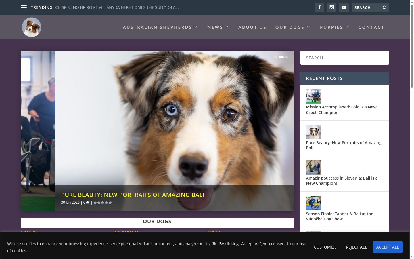 Screenshot tal-banner tal-kunsens muri qabel kwalunkwe interazzjoni