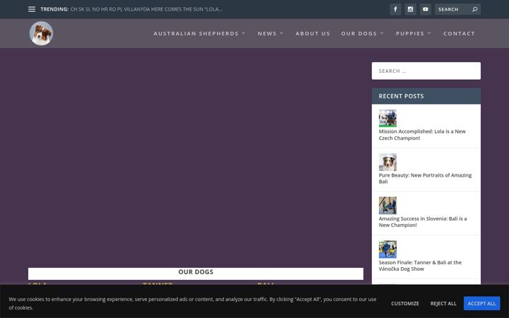 Screenshot von australianshepherds.cz