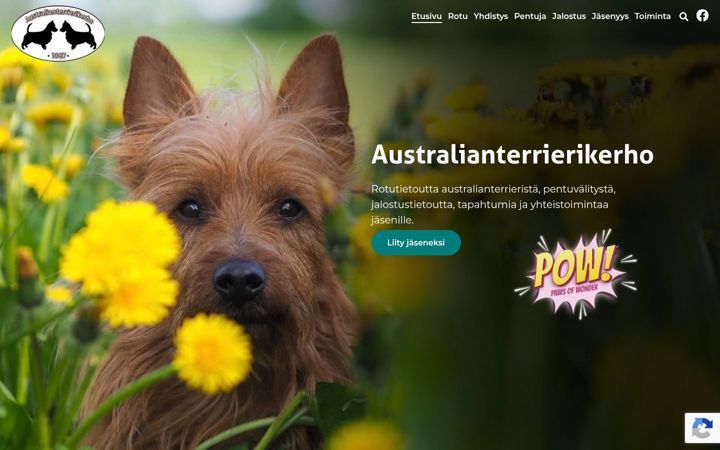 Screenshot of australianterrierikerho.fi