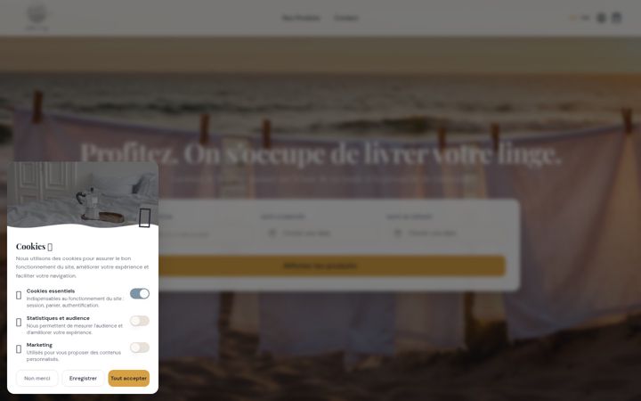 Screenshot of australinge.com