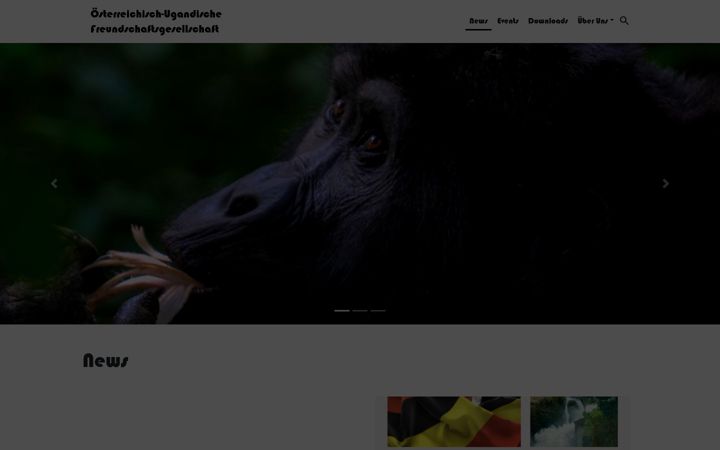 Zrzut ekranu austria-uganda.at