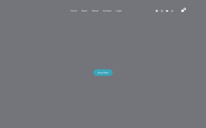 Screenshot of aut-skill.co.za