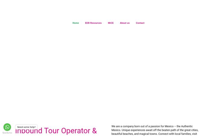 Screenshot von authenticmexicotours.com