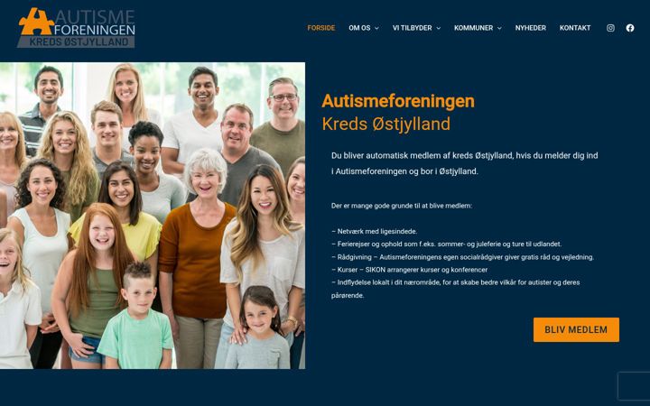 Screenshot of autismeoj.dk