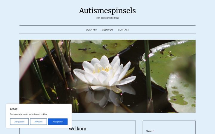 Screenshot of autismespinsels.nl