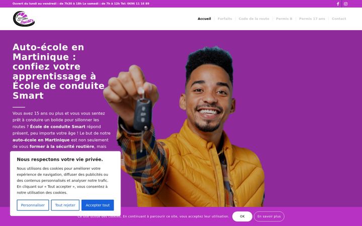 Screenshot of auto-ecole-smart.fr