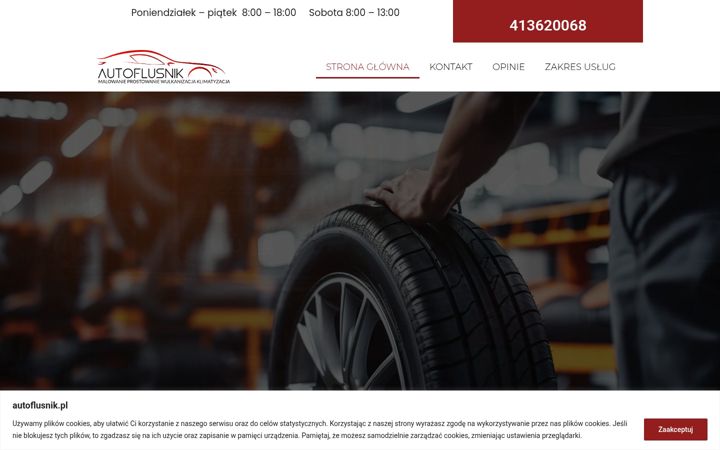 Screenshot of auto-flusnik.pl