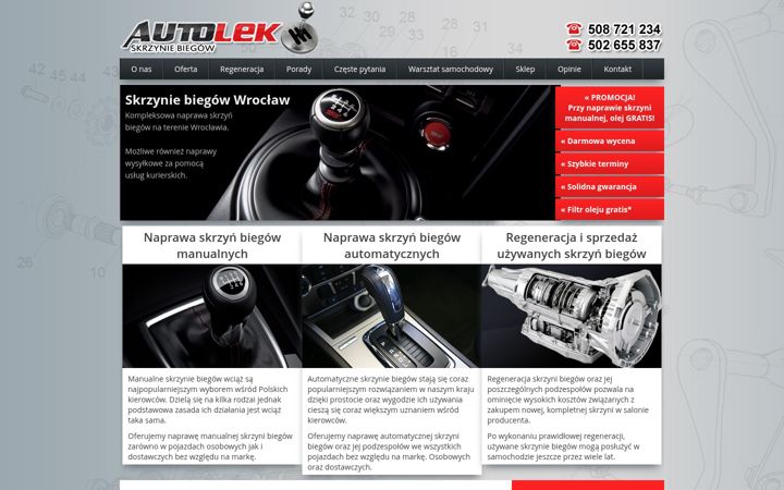 Screenshot of auto-lek.com.pl
