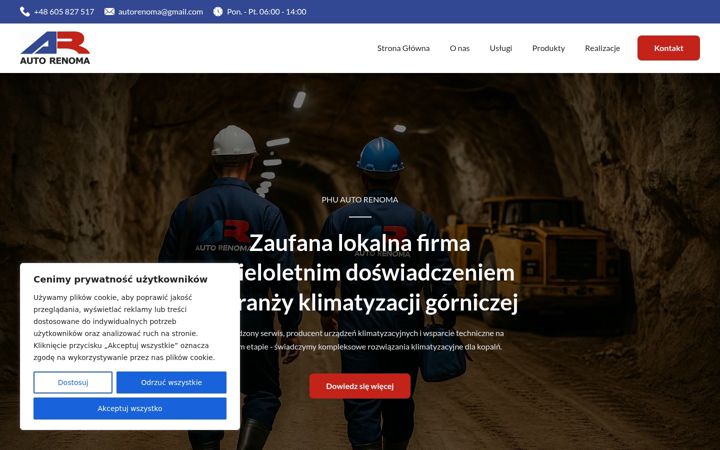 Screenshot of auto-renoma.pl