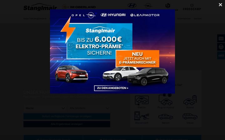 Ekraanipilt saidist auto-stanglmair.de