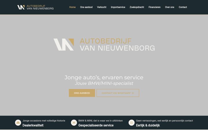 Screenshot of autobedrijfvannieuwenborg.nl