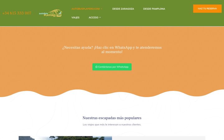Screenshot of autobusplayero.com