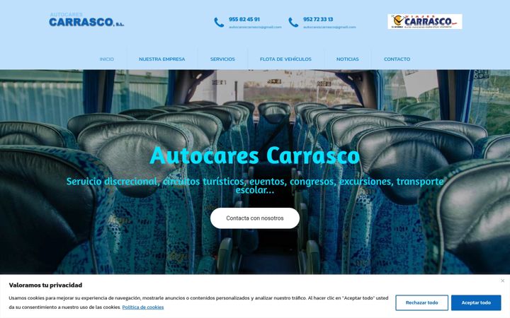 Ekrano kopija autocarescarrasco.es