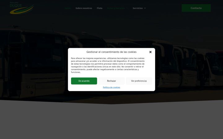 Screenshot of autocaresduque.es