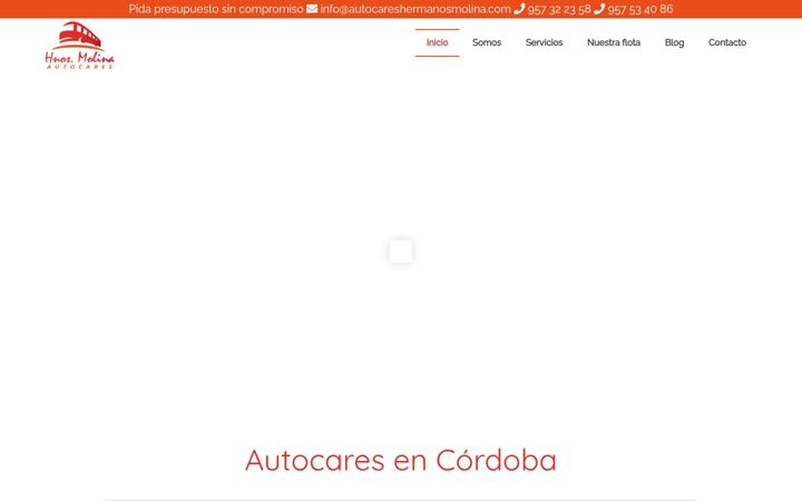 Skærmbillede af autocareshermanosmolina.com