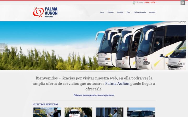 Screenshot of autocarespalma.es