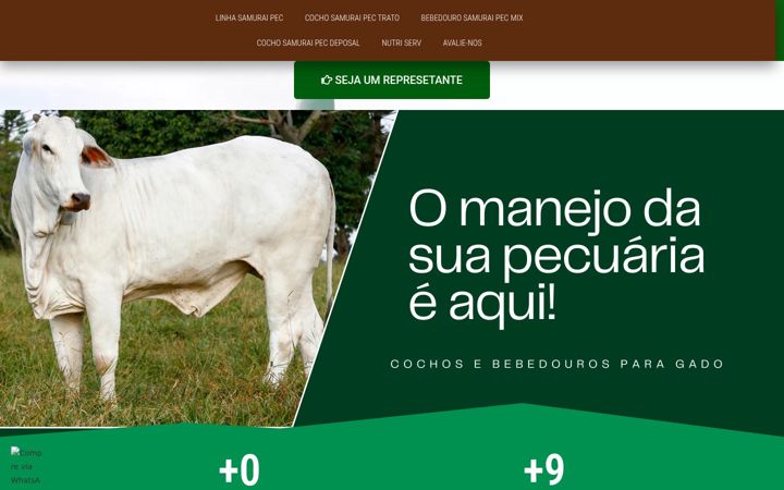 Screenshot of autocochosamurai.com.br