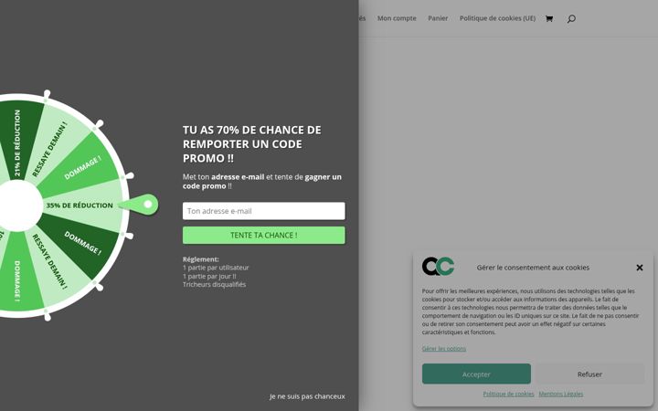 Screenshot of autocoque.com
