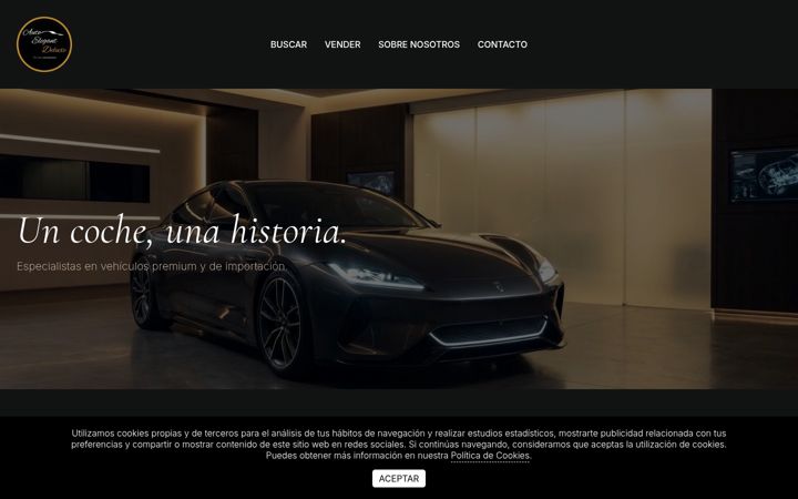 Screenshot of autoelegant.es