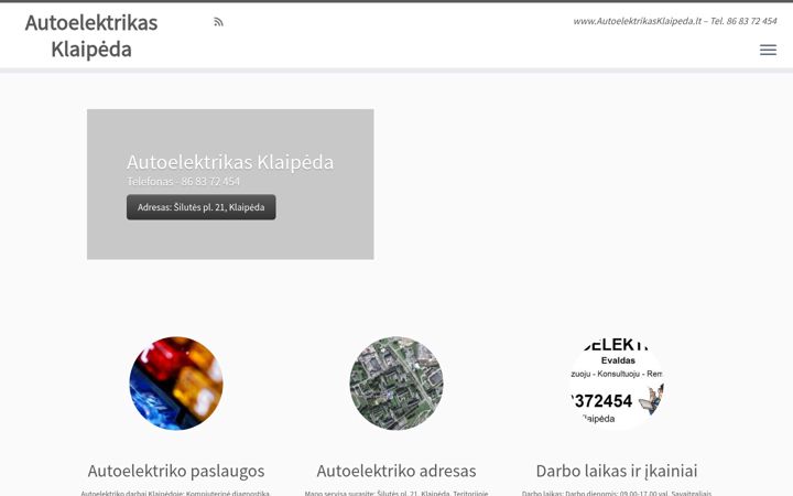 Screenshot of autoelektrikasklaipeda.lt