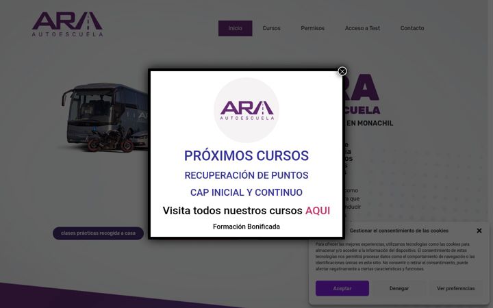 Screenshot of autoescuelaara.es
