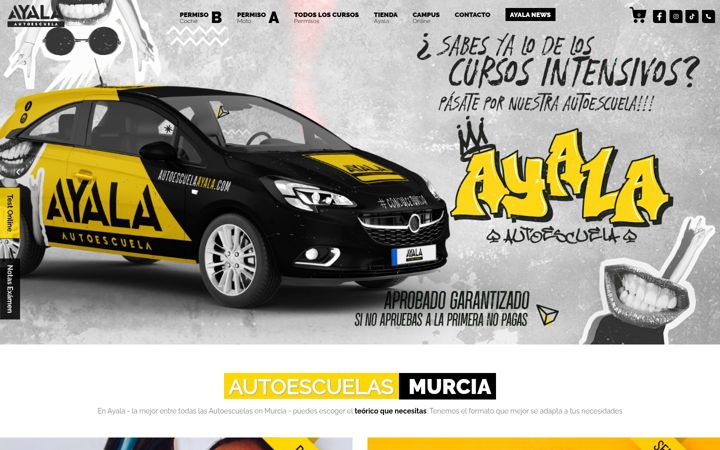 Screenshot of autoescuelaayala.com