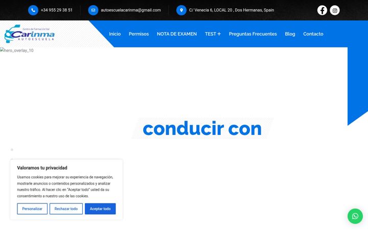 Screenshot of autoescuelacarinma.es