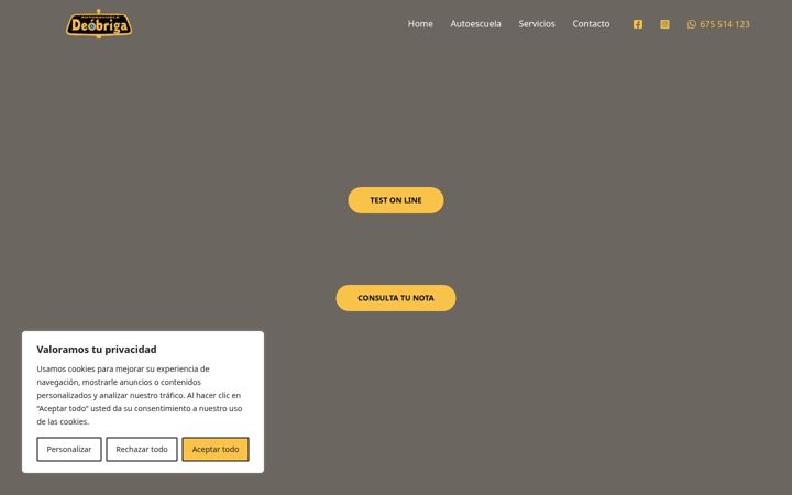 Screenshot of autoescueladeobriga.es