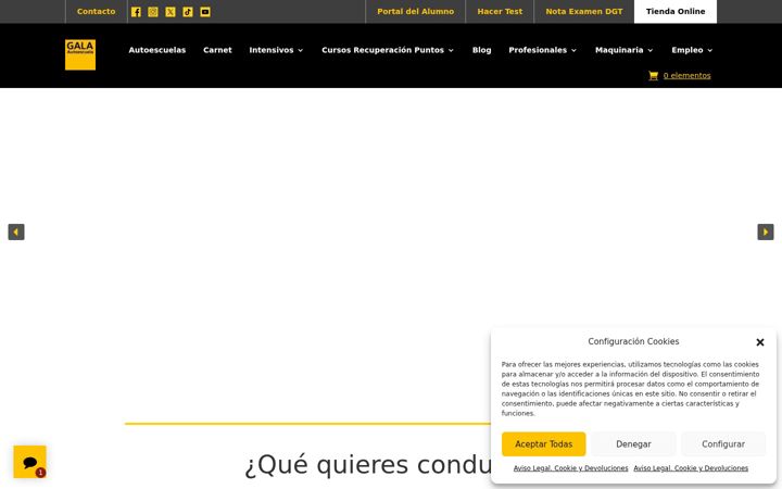Screenshot of autoescuelagala.com