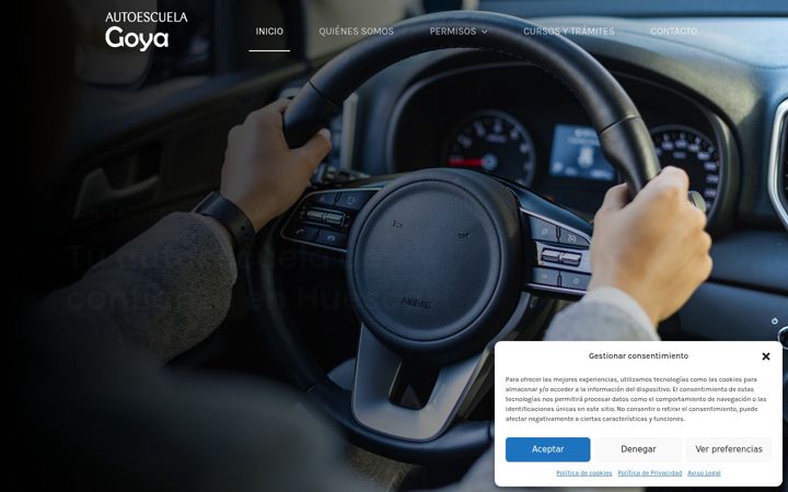 Screenshot of autoescuelagoya.es