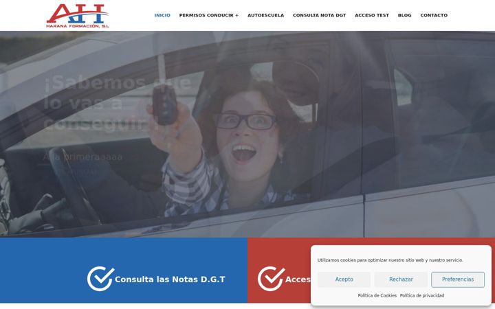 Screenshot of autoescuelaharana.com