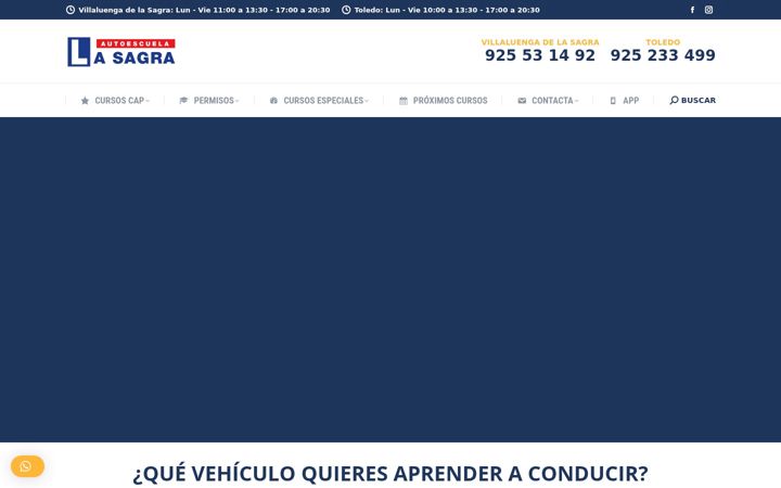 Screenshot of autoescuelalasagra.es