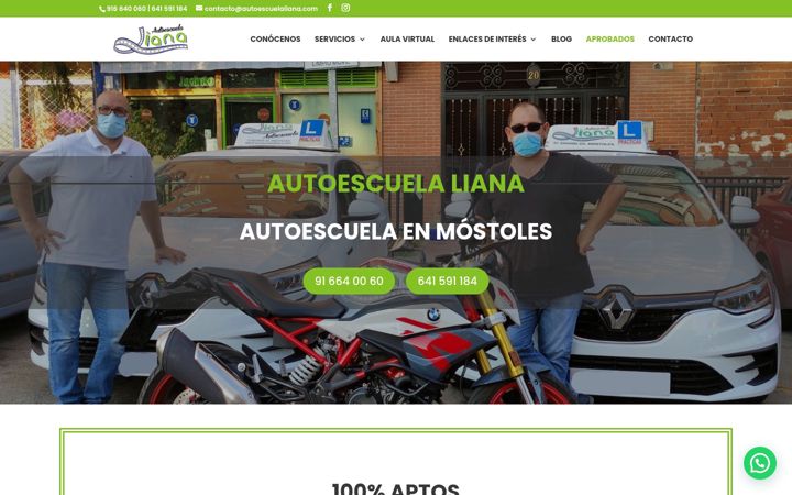 Screenshot of autoescuelaliana.com
