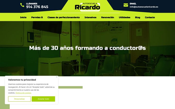 Screenshot of autoescuelaricardo.es