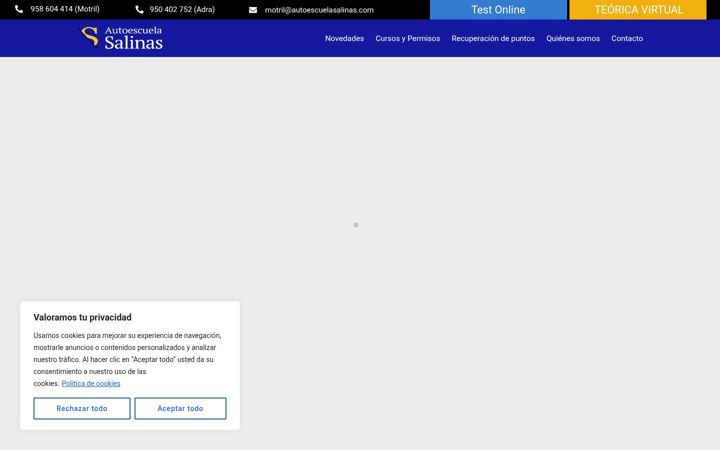 Screenshot of autoescuelasalinas.es