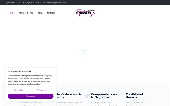 Skærmbillede af autoescuelasencarni.com