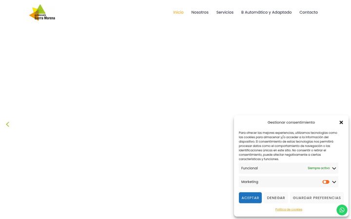 Skærmbillede af autoescuelasierramorena.com