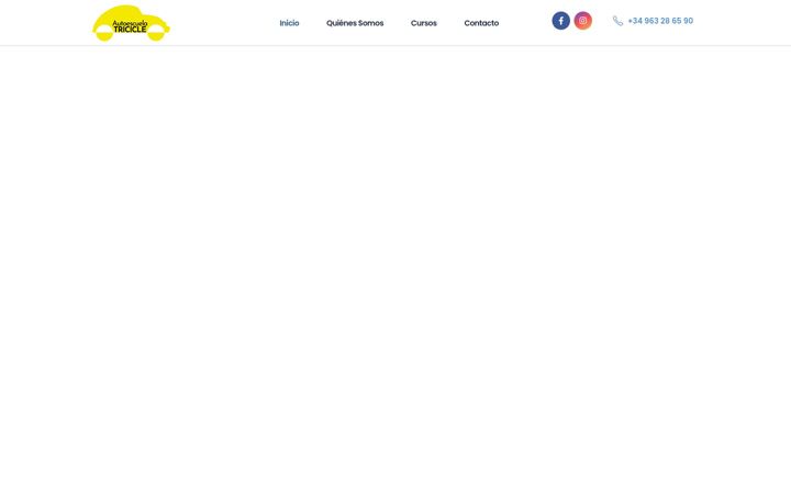 Screenshot of autoescuelatriciclevalencia.com