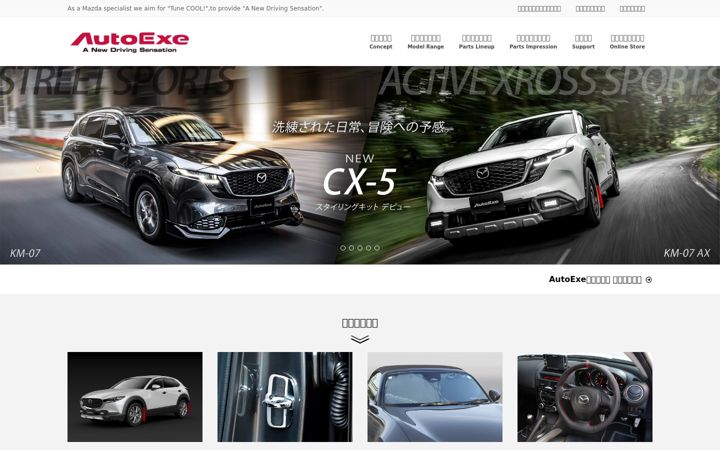 Screenshot of autoexe.co.jp