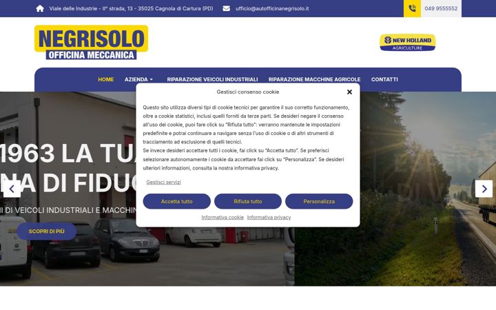 Screenshot of autofficinameccanicanegrisolo.com