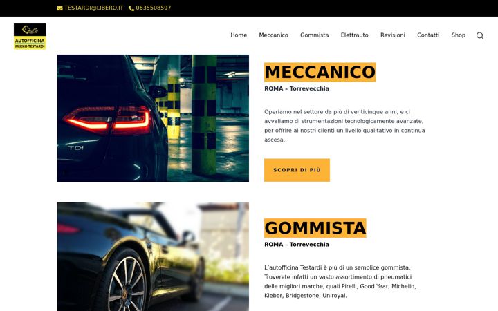 Screenshot of autofficinatestardi.it
