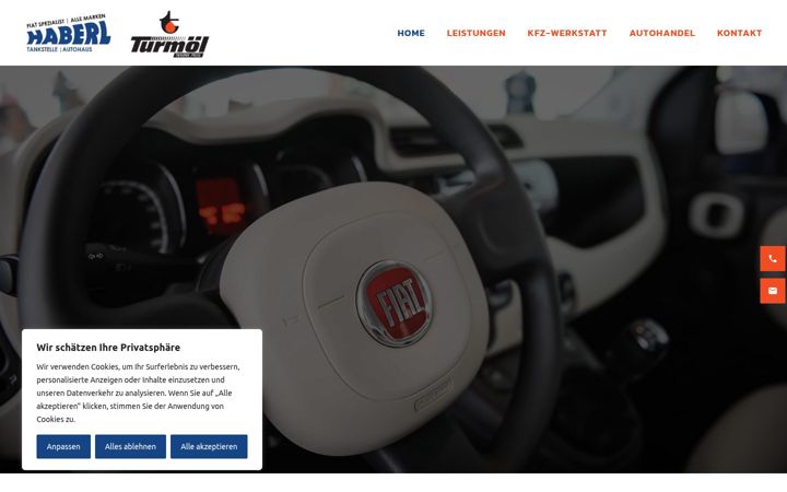 Skärmbild av autohaus-haberl.at