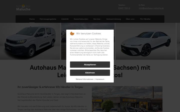 Screenshot of autohaus-maluche.de